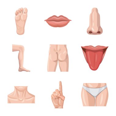 İnsan ve yarım işareti vektör Illustration. İnsan ve kadın hisse senedi simgesi için web topluluğu.