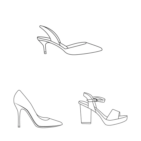 Vektor-Design von Schuhen und Frauenlogo. Set von Schuhen und Fuß Stock Symbol für Web. — Stockvektor