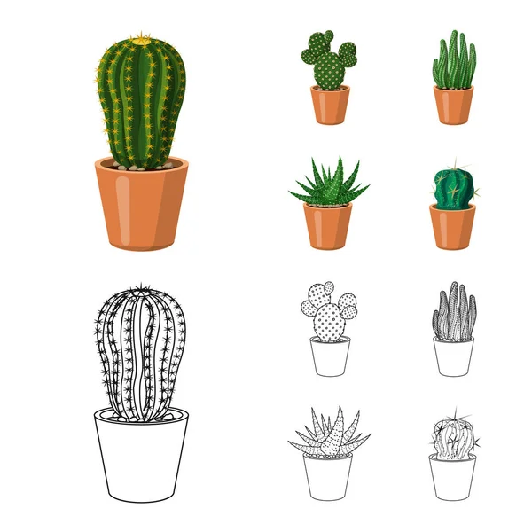 Vektorillustration av kaktus och potten logotyp. Samling av kaktus och kaktusar stock symbol för webben. — Stock vektor