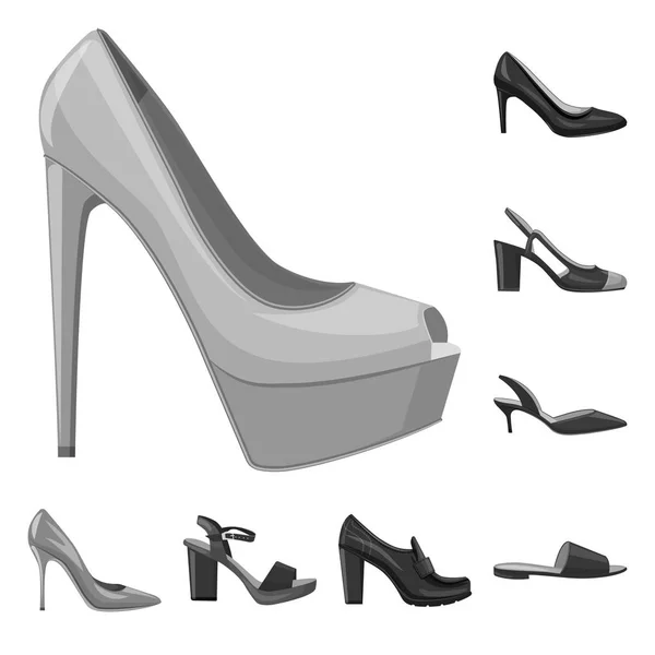 Design vettoriale delle calzature e logo donna. Serie di calzature e piedi stock illustrazione vettoriale . — Vettoriale Stock