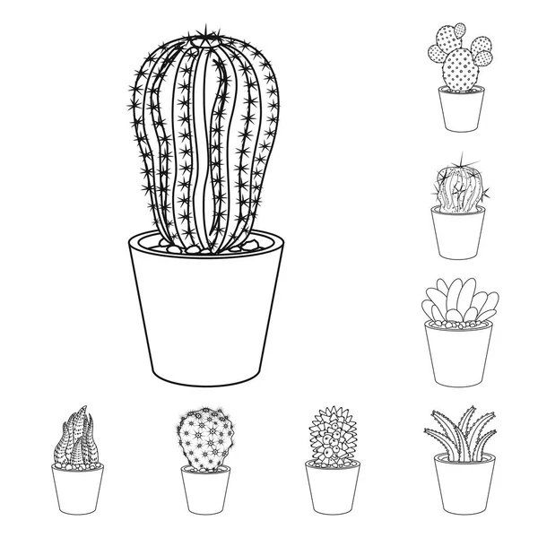 Objet isolé de cactus et icône de pot. Collection de cactus et de cactus illustration vectorielle de stock . — Image vectorielle