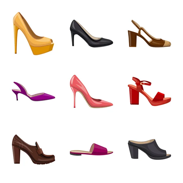 Diseño vectorial de calzado y logotipo de mujer. Conjunto de calzado y pie stock vector ilustración . — Archivo Imágenes Vectoriales