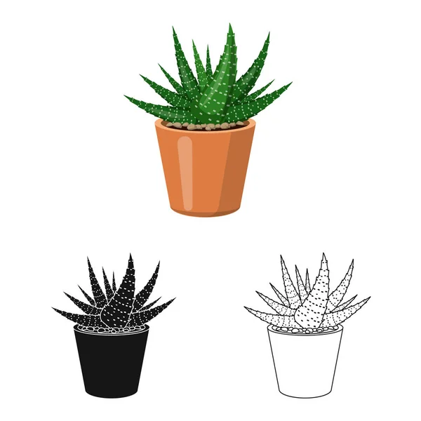 Illustration vectorielle du cactus et signe du pot. Collection de cactus et de cactus symbole stock pour le web . — Image vectorielle