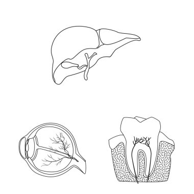 Vücut ve insan sembolü yalıtılmış nesne. Vücut ve web için tıbbi hisse senedi simgesi toplama.