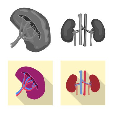 Vücut ve insan sembolü yalıtılmış nesne. Vücut ve web için tıbbi hisse senedi simgesi.