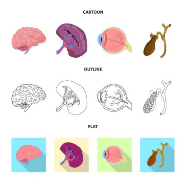 Vücut ve insan logo vektör çizimi. Vücut ve hisse senedi için tıbbi vektör simge kümesi.