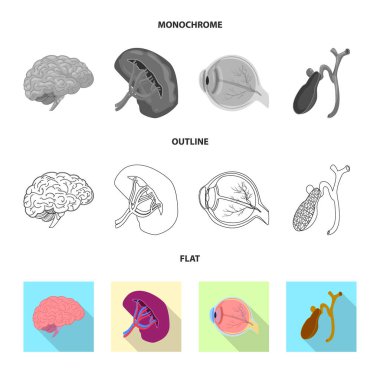Vücut ve insan logo vektör tasarımı. Vücut ve web için tıbbi hisse senedi simgesi toplama.