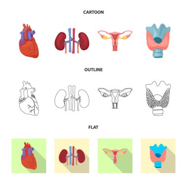 Vücut ve insan sembolü yalıtılmış nesne. Vücut ve web için tıbbi hisse senedi simgesi.