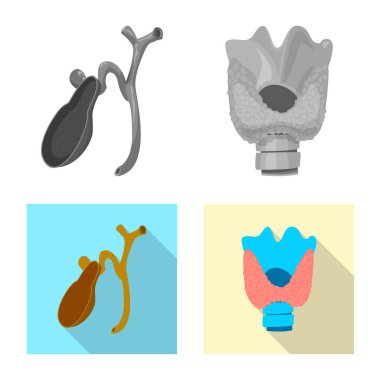 Vücut ve insan işareti yalıtılmış nesne. Vücut ve hisse senedi için tıbbi vektör simge kümesi.