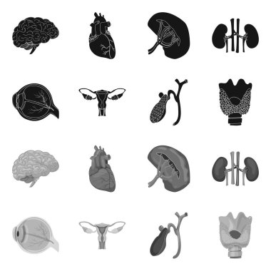 Vücut ve insan izole nesne. Vücut ve web için tıbbi hisse senedi simgesi.