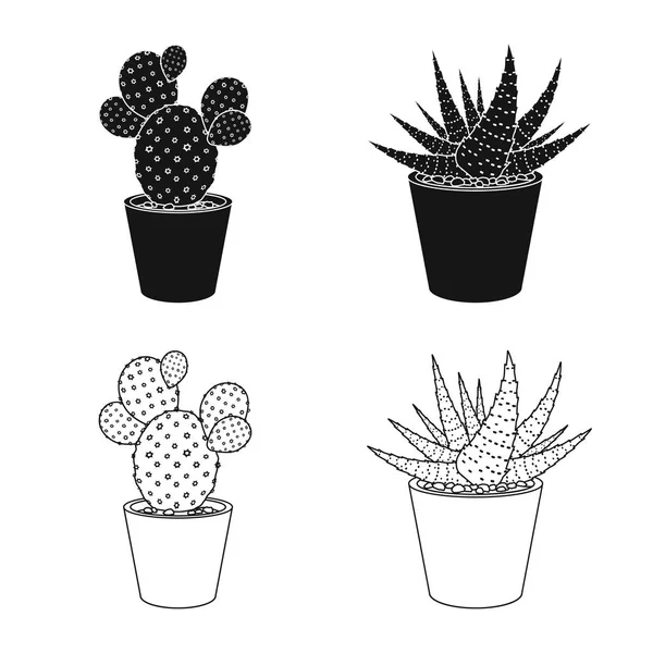 Conception vectorielle du cactus et de l'icône du pot. Ensemble d'icônes vectorielles cactus et cactus pour stock . — Image vectorielle