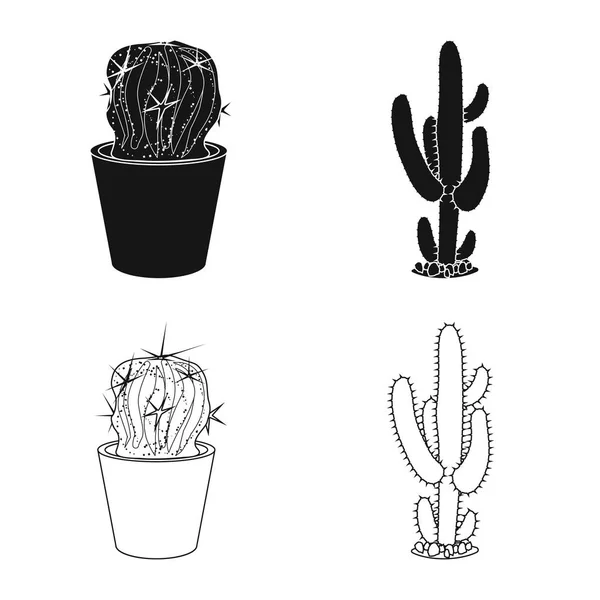 Objet isolé de cactus et symbole de pot. Ensemble de cactus et de cactus symbole stock pour le web . — Image vectorielle
