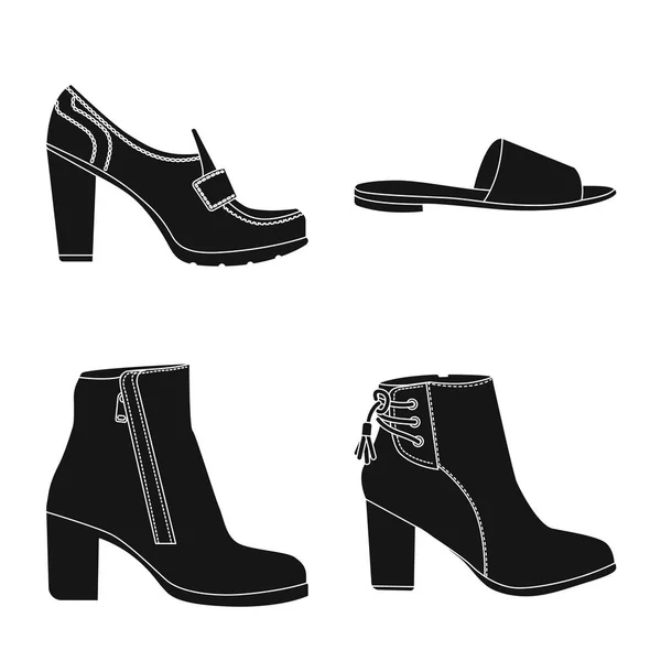 Diseño vectorial de calzado y signo de mujer. Set de calzado y pie vector icono para stock . — Vector de stock