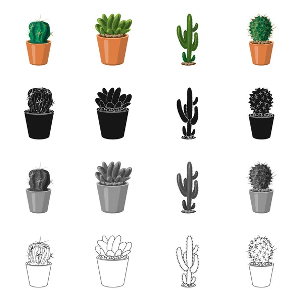 Ilustración vectorial de cactus y pote símbolo. Colección de cactus y cactus vector icono para stock . — Archivo Imágenes Vectoriales