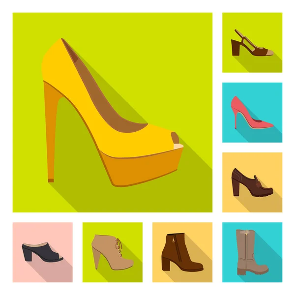Vector ontwerp van schoeisel en vrouw pictogram. Verzameling van schoeisel en voet voorraad vectorillustratie. — Stockvector