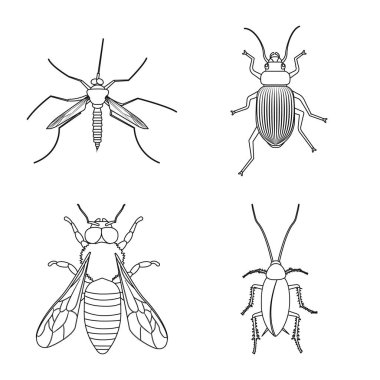 Böcek ve sinek işareti vektör tasarımı. Böcek ve öğe hisse senedi simgesi için web topluluğu.