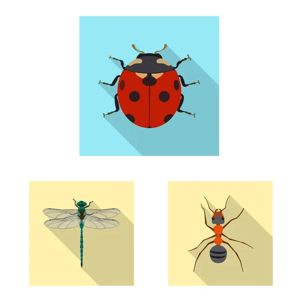 Illustration vectorielle de signes d'insectes et de mouches. Ensemble de symbole de stock d'insectes et d'éléments pour la toile . — Image vectorielle