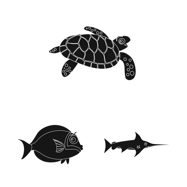 海や動物のシンボルのベクター デザイン。海と海洋 web 株式記号のセット. — ストックベクタ