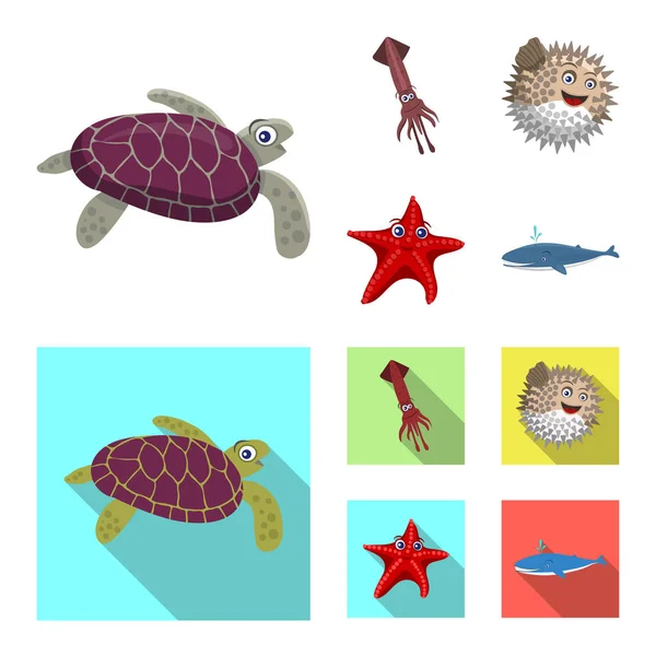 Diseño vectorial de mar y símbolo animal. Conjunto de símbolo de stock marino y marino para web . — Vector de stock