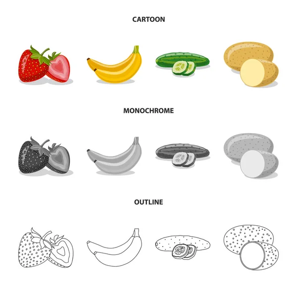 야채와 과일 상징의 벡터 디자인입니다. 야채와 채식 주식 기호 웹의 컬렉션. — 스톡 벡터