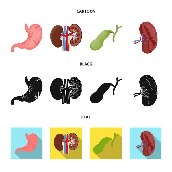 Векторный дизайн кузова и человеческой иконы. Набор символов тела и медицинского инвентаря для паутины . — стоковый вектор