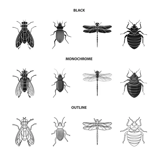 Na białym tle obiekt owad i mucha symbolu. Kolekcja owadów i element Stockowa ilustracja wektorowa. — Wektor stockowy