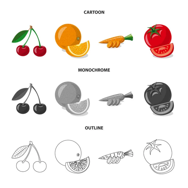 Ilustración vectorial de signo vegetal y frutal. Colección de icono de vector vegetal y vegetariano para stock . — Archivo Imágenes Vectoriales