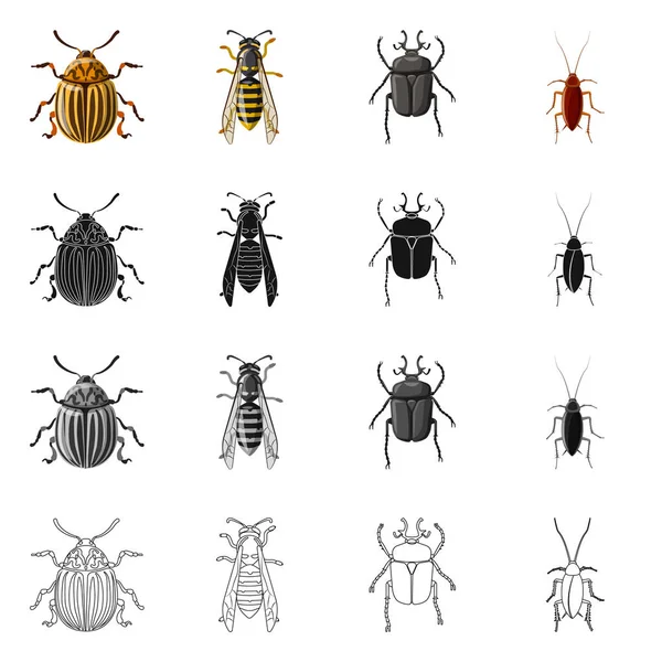 Vectorillustratie van insecten en vliegen pictogram. Collectie van insect en element voorraad vectorillustratie. — Stockvector