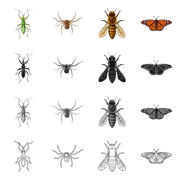Vektorillustration von Insekten- und Fliegenzeichen. Set von Insekten- und Elementlagersymbol für das Netz. — Stockvektor