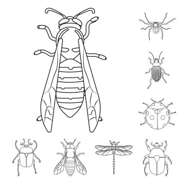 Böcek ve sinek logo vektör tasarımı. Web için böcek ve öğe hisse senedi simgesi kümesi.