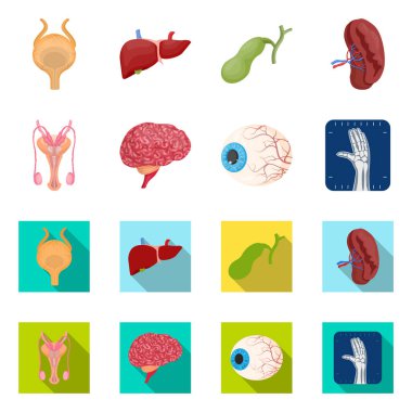 Vücut ve insan işareti vektör tasarımı. Vücut ve web için tıbbi hisse senedi simgesi toplama.