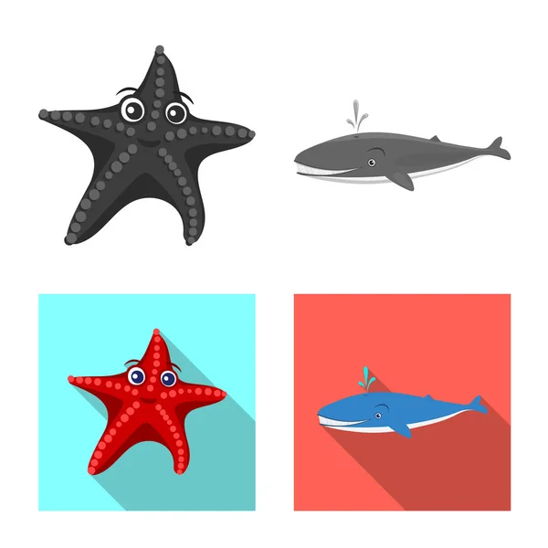 Diseño vectorial del logotipo marino y animal. Colección de símbolo de stock marino y marino para web . — Vector de stock