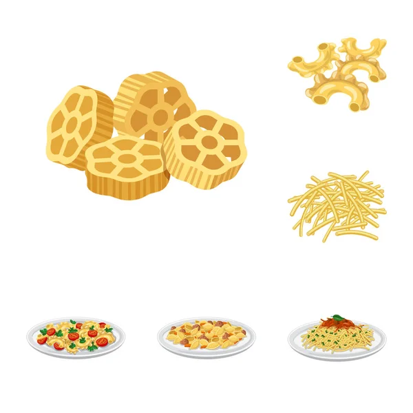 Isolated object of pasta and carbohydrate icon. Set of pasta and macaroni stock vector illustration. — Stock Vector