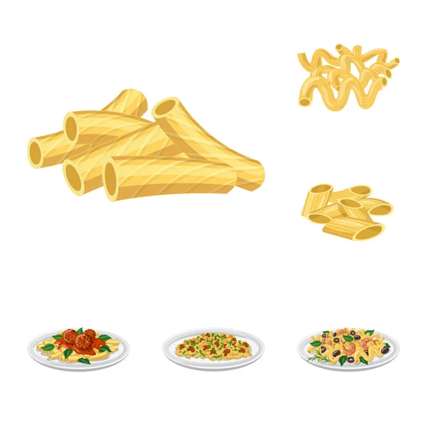 Objek pasta yang terisolasi dan ikon karbohidrat. Set pasta dan makaroni simbol stok untuk web . - Stok Vektor