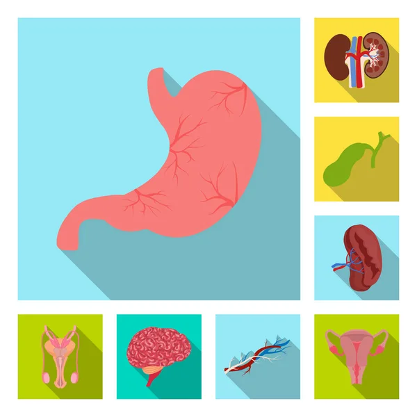 Векторный дизайн тела и человеческого знака. Комплект векторной иллюстрации тела и медицинского фонда . — стоковый вектор