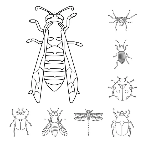 Projeto vetorial de inseto e logotipo da mosca. Conjunto de símbolo de estoque de insetos e elementos para web . —  Vetores de Stock