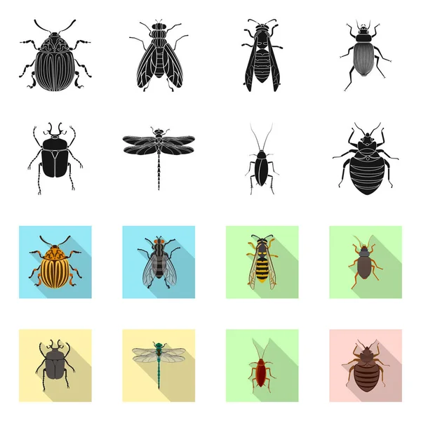 Vektordesign von Insekten- und Fliegenlogo. Set von Insekten- und Elementvektorsymbolen für Aktien. — Stockvektor