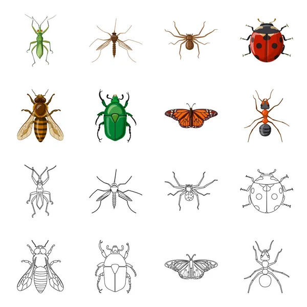곤충과 비행 로그인의 고립 된 개체입니다. 웹에 대 한 곤충과 요소 주식 기호 모음. — 스톡 벡터