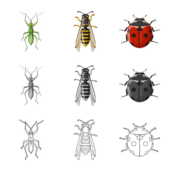 Ilustración vectorial del signo de insectos y moscas. Colección de insectos y elemento vector icono para stock . — Vector de stock