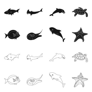 Deniz ve hayvan işareti vektör tasarımı. Deniz ve deniz vektör simgesini hissenin koleksiyonu.