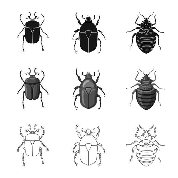 Geïsoleerde object van insecten en vliegen teken. Set insect en element aandelensymbool voor web. — Stockvector