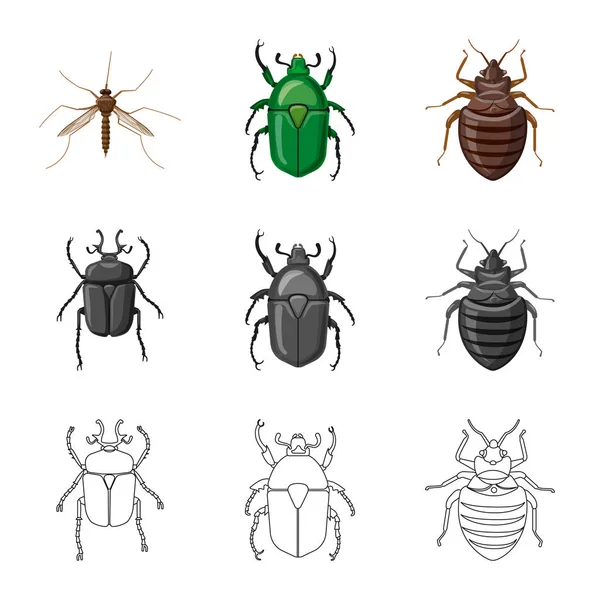 Geïsoleerde object van insecten en vliegen pictogram. Set insect en element aandelensymbool voor web. — Stockvector