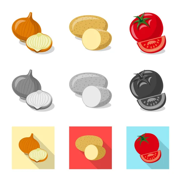 Diseño vectorial de símbolo vegetal y frutal. Colección de icono de vector vegetal y vegetariano para stock . — Vector de stock