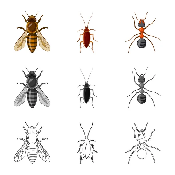 Vectorillustratie van insecten en vliegen teken. Set insect en element voorraad vectorillustratie. — Stockvector