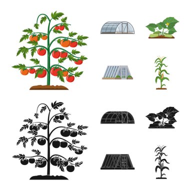 Sera ve bitki logosu yalıtılmış nesne. Sera ve Bahçe hisse senedi simgesi web için set.