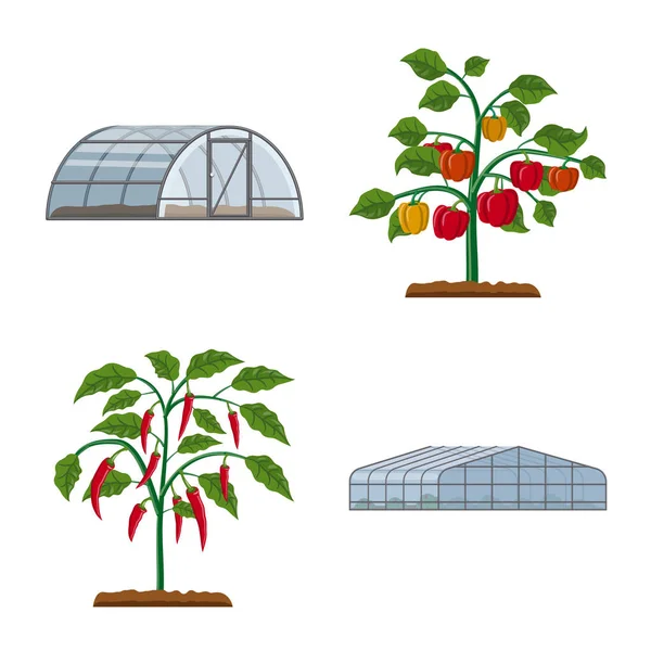 Vektorillustration von Gewächshaus und Pflanzensymbol. Gewächshaus- und Gartenvektorsymbole für Aktien. — Stockvektor