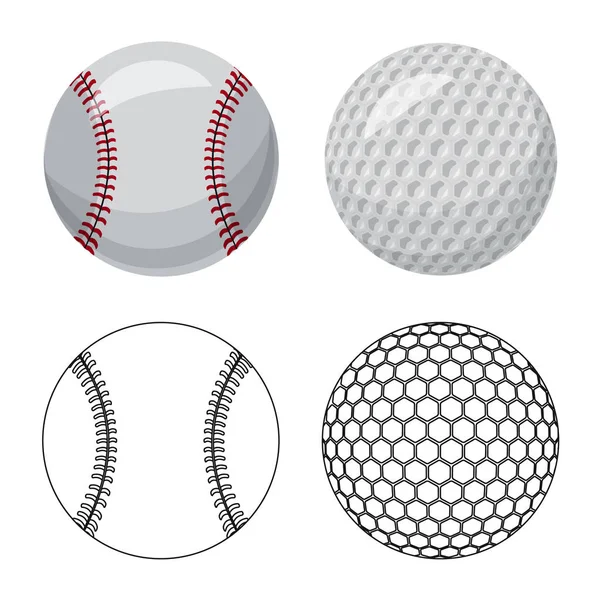 Objeto Aislado Del Deporte Icono Pelota Colección Deporte Icono Del — Vector de stock