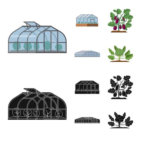 温室和植物符号的向量例证。一套温室和花园矢量图标的股票. — 图库矢量图片