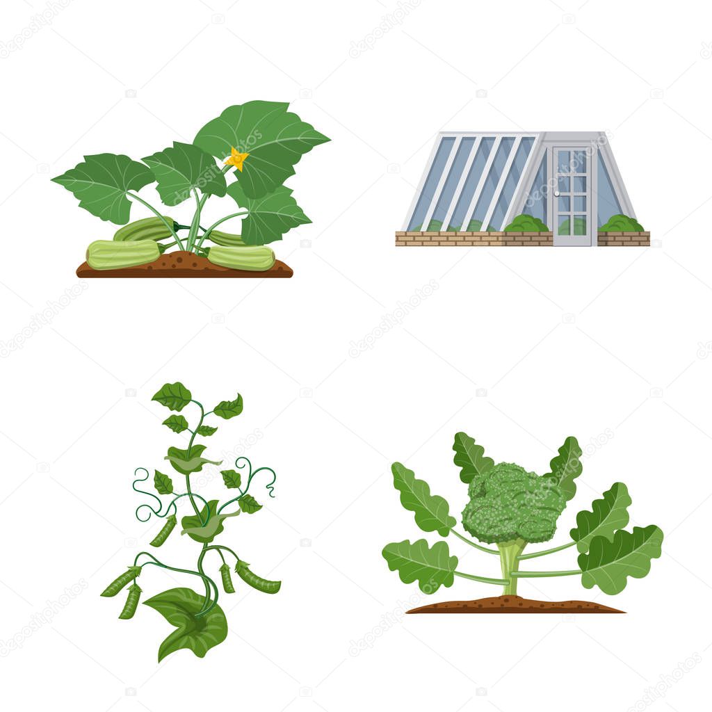Vector design of greenhouse and plant symbol. Collection of greenhouse and garden stock symbol for web.