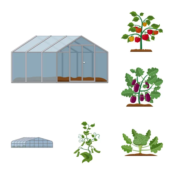 Isoliertes Objekt von Gewächshaus und Pflanzenschild. Sammlung von Gewächshaus- und Gartenvektorsymbolen für Aktien. — Stockvektor